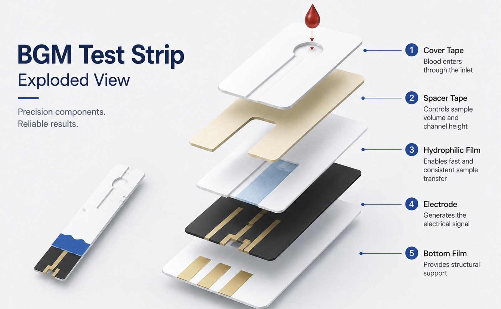 Exploded view of BGM cover tape, spacer tape, hydrophilic film, electrode, and bottom film
