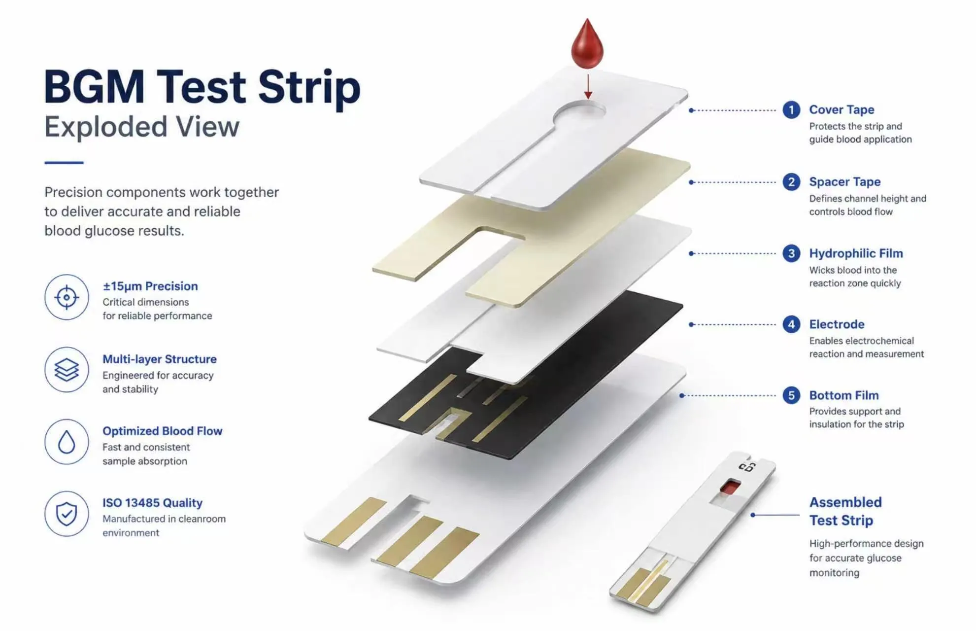 What Is a BGM Test Strip?